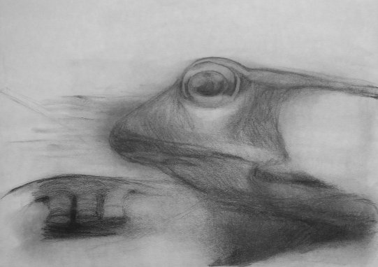 Octopus and frog. 30х40 см, paper, graphite. 2018